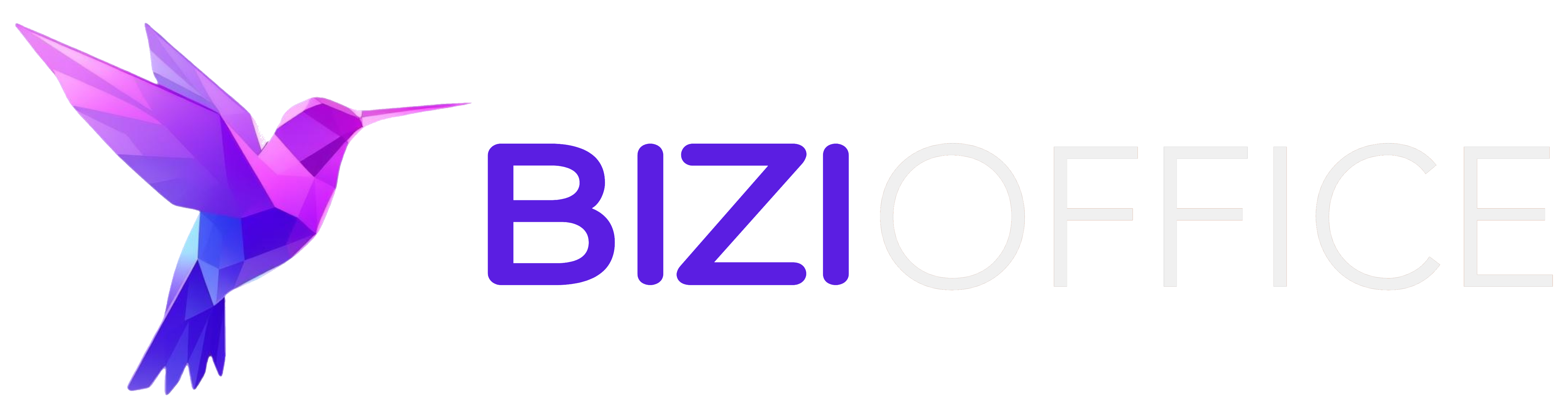 Bizi Office Logo